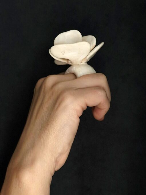 Vegan Ivory Flower Ring Size 8 - Image 4