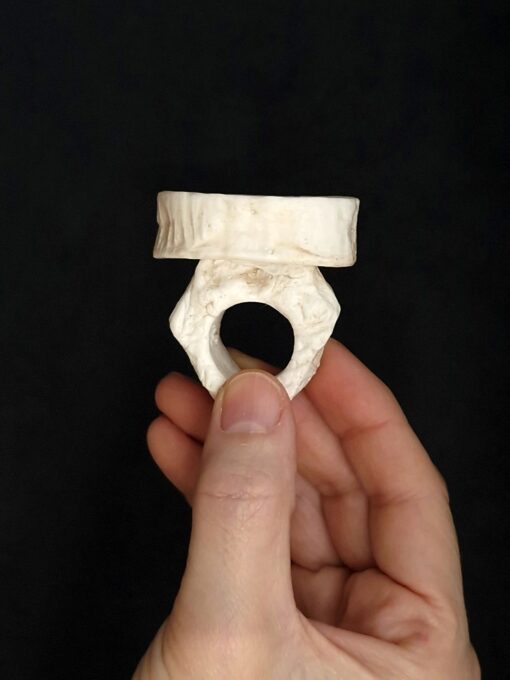Vegan Ivory Roman Ring Size 7.5 - Image 4