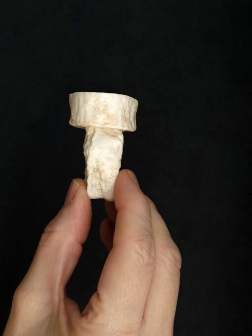 Vegan Ivory Roman Ring Size 7.5 - Image 6