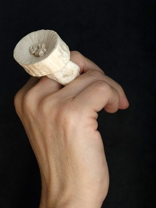 Vegan Ivory Roman Ring Size 7.5 - Image 5