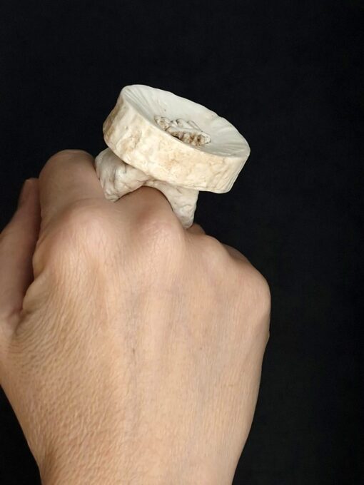 Vegan Ivory Roman Ring Size 7.5 - Image 7
