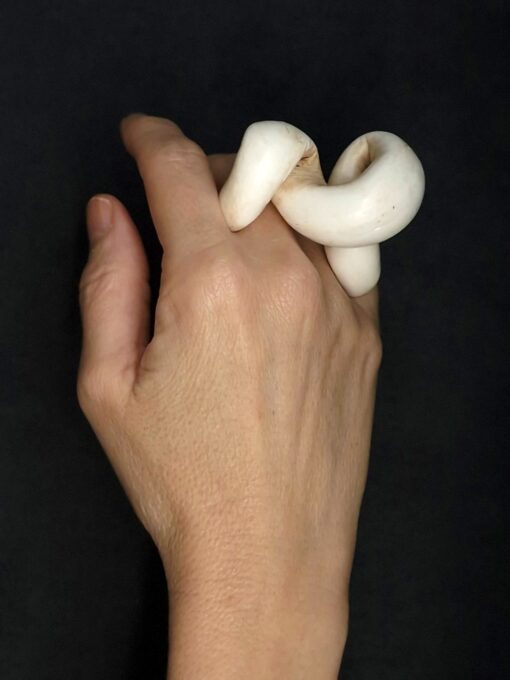 Vegan Ivory Sculptured Ring - Image 2