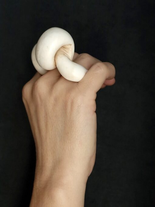 Vegan Ivory Sculptured Ring - Image 3