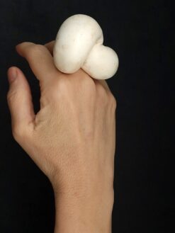 Vegan Ivory Sculptured Ring Size 7