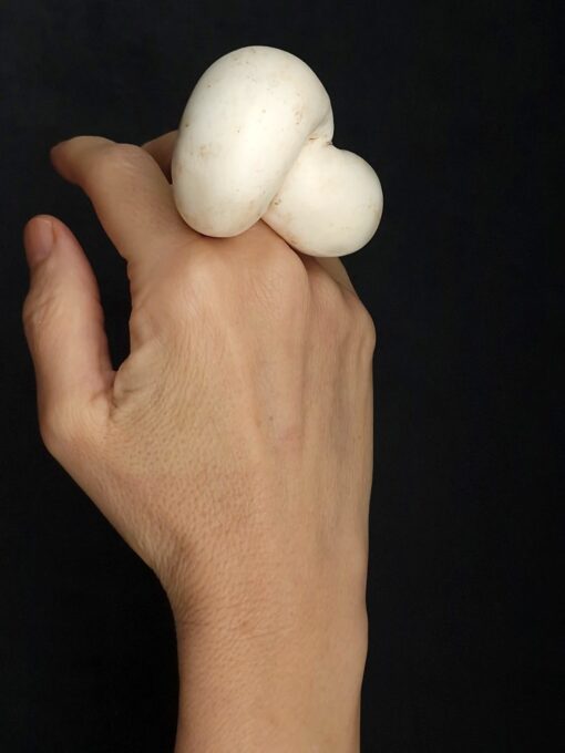 Vegan Ivory Sculptured Ring Size 7