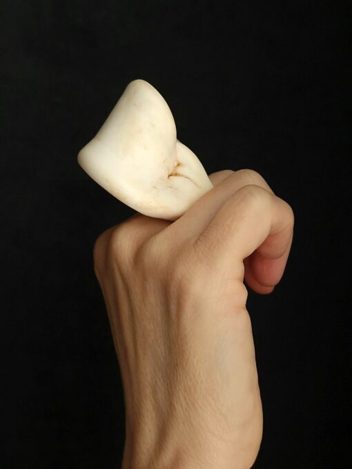 Vegan Ivory Sculptured Ring Size 7.5 - Image 3