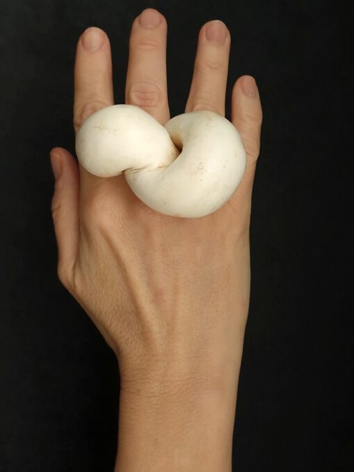 Vegan Ivory Sculptured Ring Size 7 - Image 3