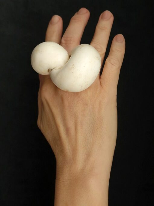 Vegan Ivory Sculptured Ring Size 7 - Image 5