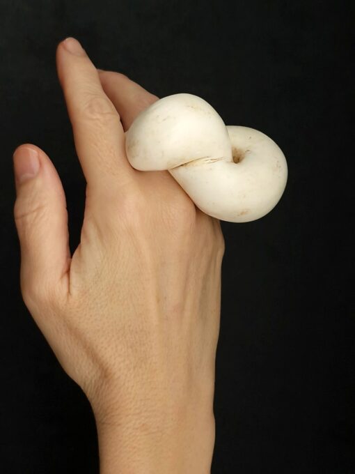 Vegan Ivory Sculptured Ring Size 7 - Image 4