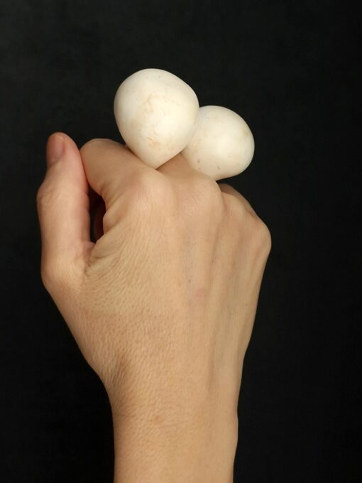 Vegan Ivory Sculptured Ring Size 7