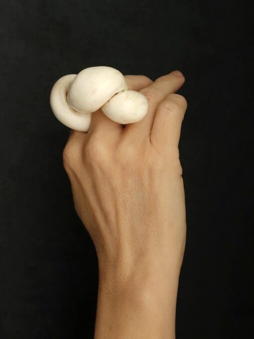 Vegan Ivory Sculptured Ring Size 8