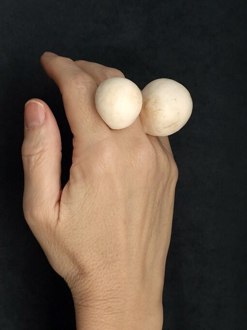 Vegan Ivory Sculptured Ring Size 8 - Image 3