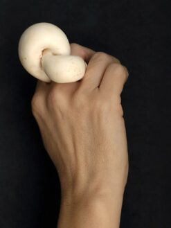 Vegan Ivory Sculptured Ring Size 7