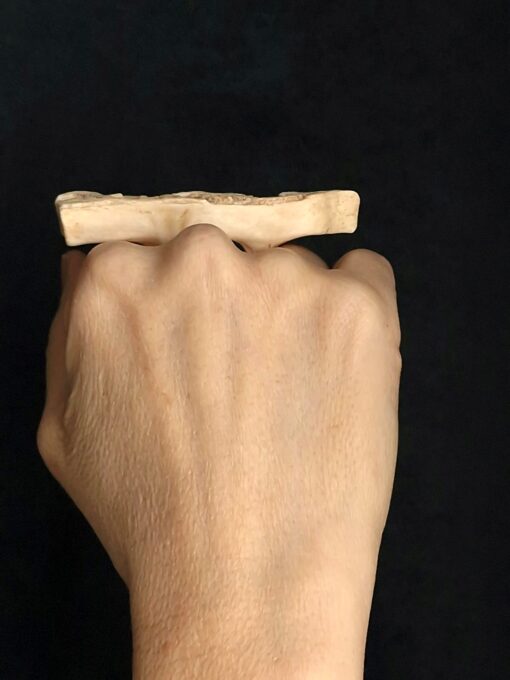 Vegan Ivory Sculptured Ring Size 9 - Image 2