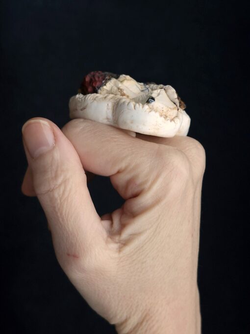 Mooikaite Jasper Stone Ring Size 8.5 - Image 3