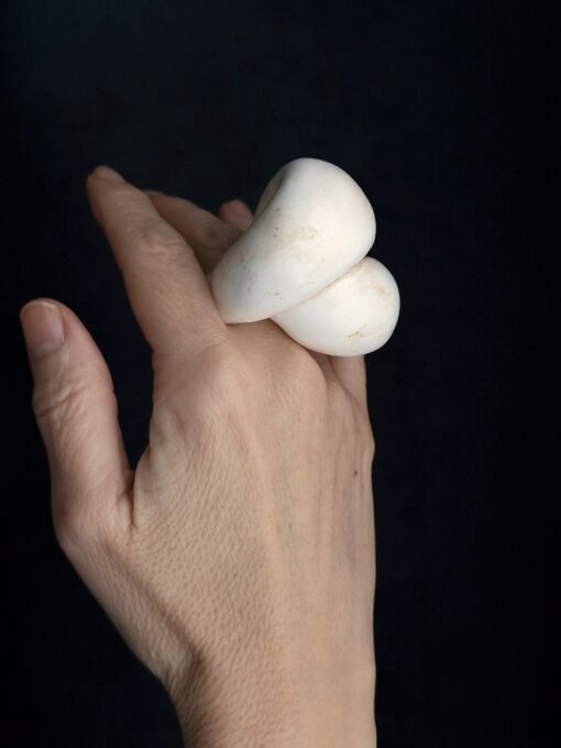Vegan Ivory Sculptured Ring Size 8.5 - Image 4