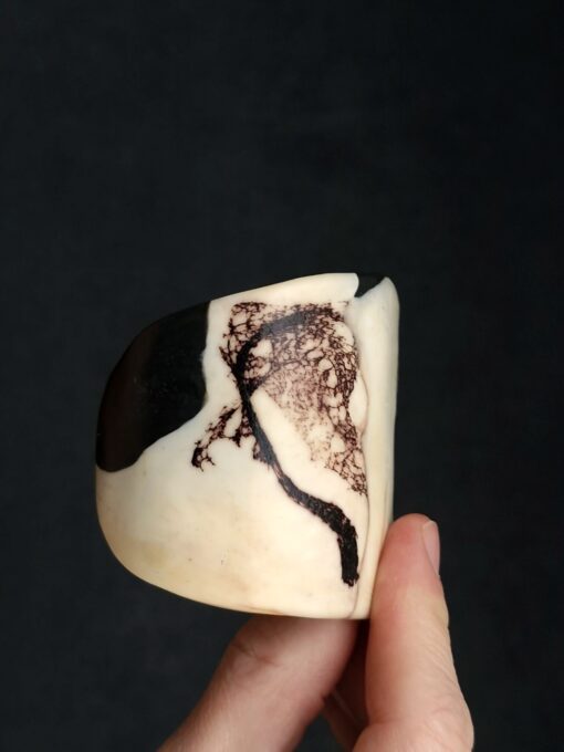 Vegan Ivory & Black Flat Cuff - Size L - Image 4