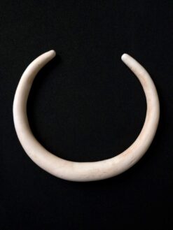 Vegan Ivory Collar Necklace - Size Medium