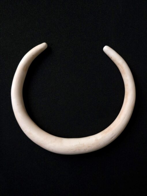 Vegan Ivory Collar Necklace - Size Medium