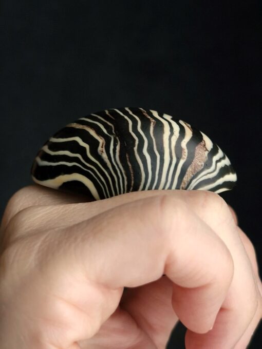 Vegan Ivory & Black Ring - Size 7.5 - Image 4