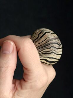 Vegan Ivory & Black Ring - Size 9.5