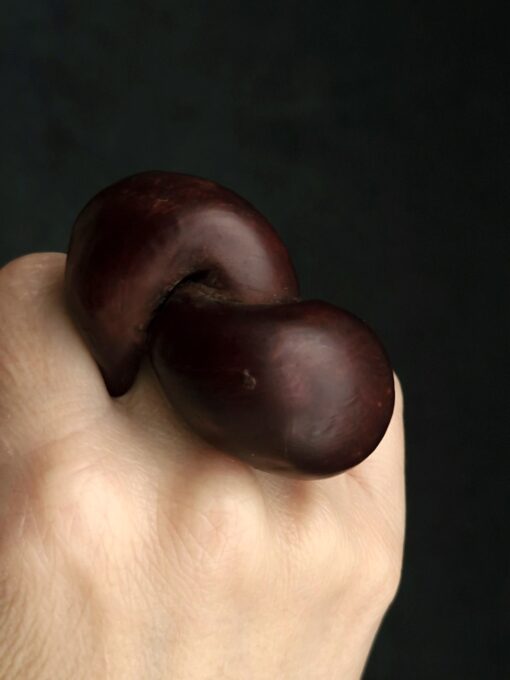 Brown Sculptured Ring - Size 7.5 - Image 2